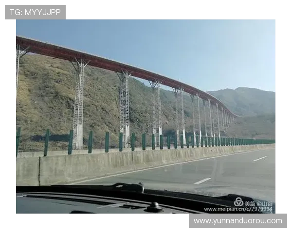 成都排球队在洲际杯中的团队协作表现值得称赞与反思 成都排球队在洲际杯中的团队协作表现值得称赞与反思