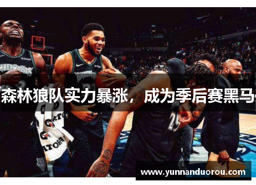 森林狼队实力暴涨，成为季后赛黑马
