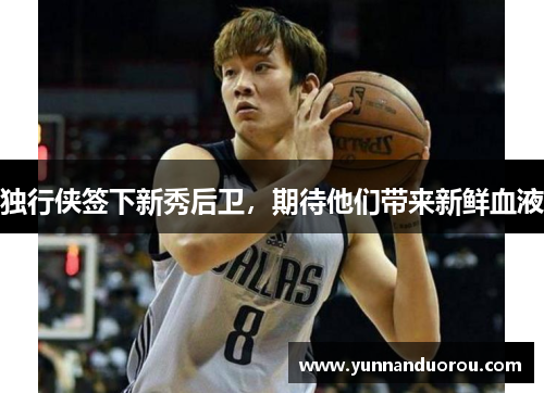 独行侠签下新秀后卫，期待他们带来新鲜血液