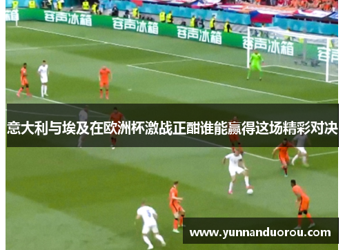 意大利与埃及在欧洲杯激战正酣谁能赢得这场精彩对决
